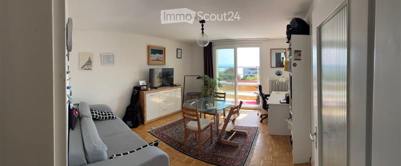 A modern living room with a grey sofa, coffee table, dining table with chairs, a TV, and a balcony view.
