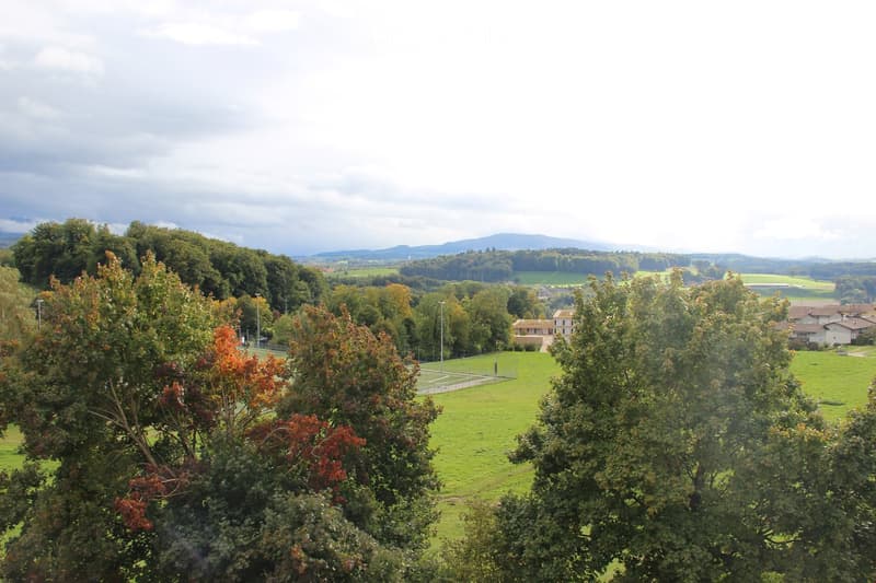 Appartement lumineux de 3.5 pcs avec grand balcon -- Villars-sur-Glâne (6)