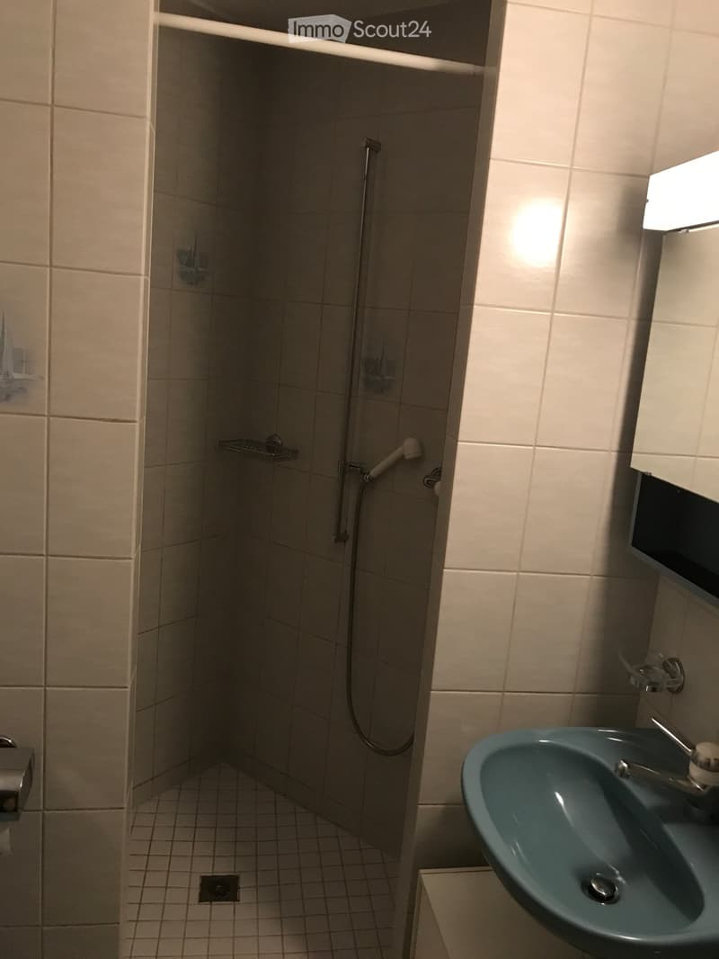 Modern bathroom with a corner shower, tiled walls, a blue sink with a faucet, and a shower hose with a handheld showerhead.