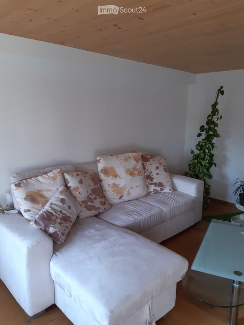 zentrale attraktive 5 1/2 Zi-Wohnung in Gossau (10)