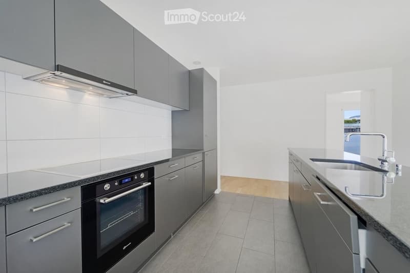 Modern kitchen with grey cabinets, a built-in oven, a sink with a modern faucet, and a range hood above the stove.