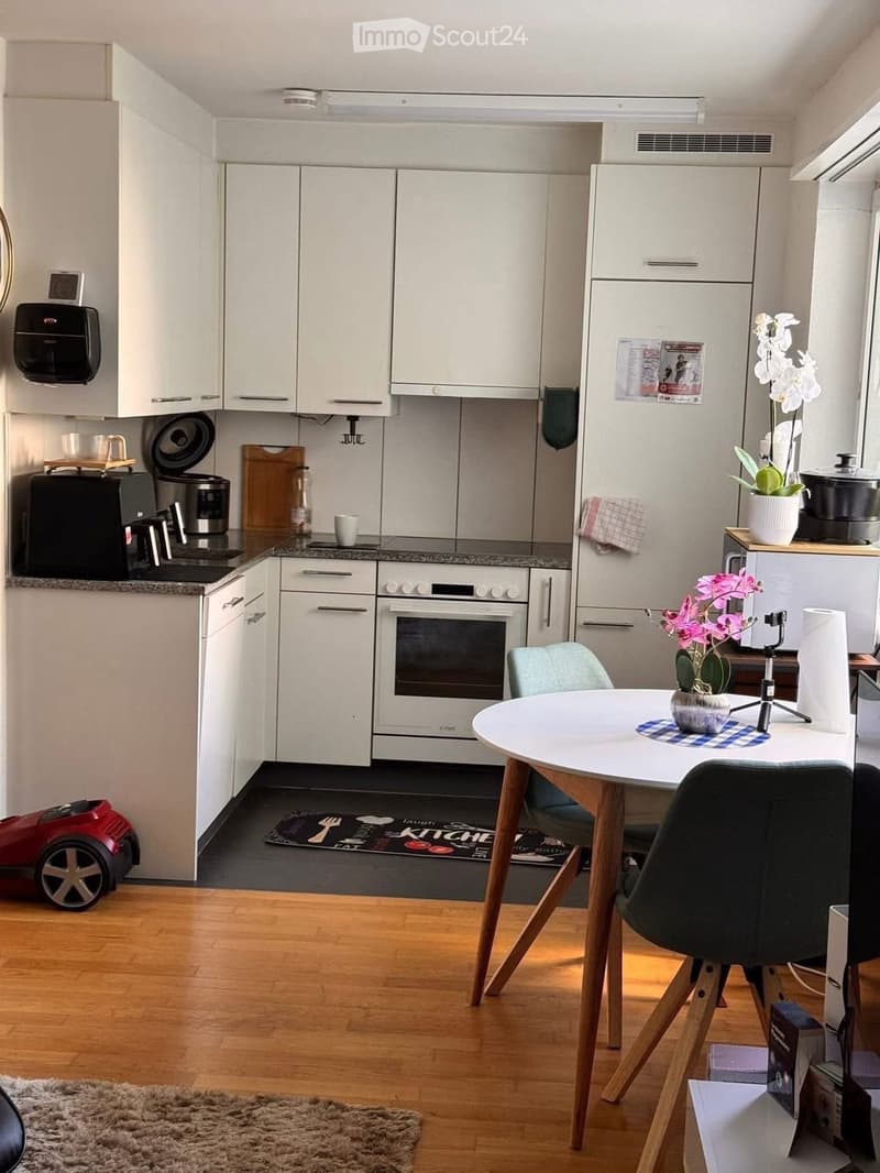 Modern kitchen with white cabinets, stainless steel appliances, a round dining table with chairs, and decorative flower pots.