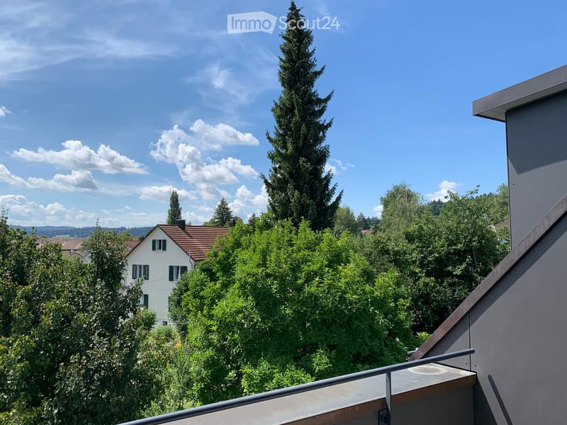 Balcony overlooking a lush green area with trees and a house in the background under a clear blue sky.