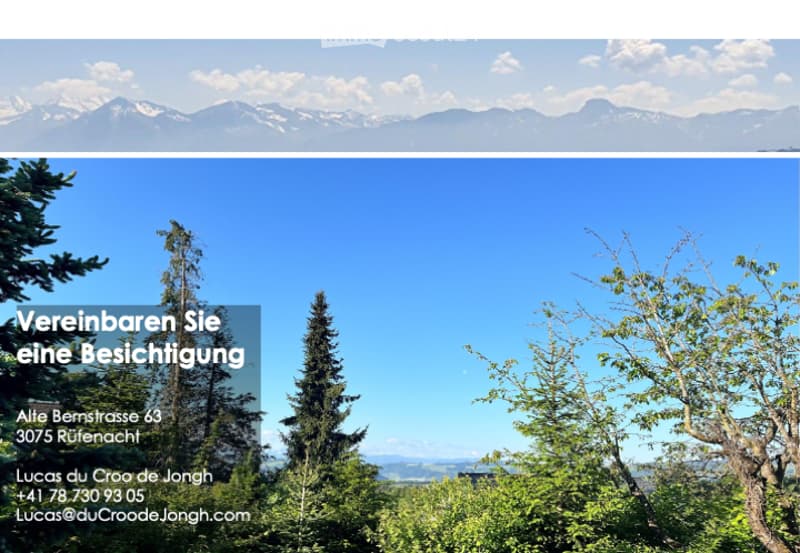A scenic outdoor view with lush green trees in the foreground and a clear blue sky above, with snow-capped mountains visible in the distance.