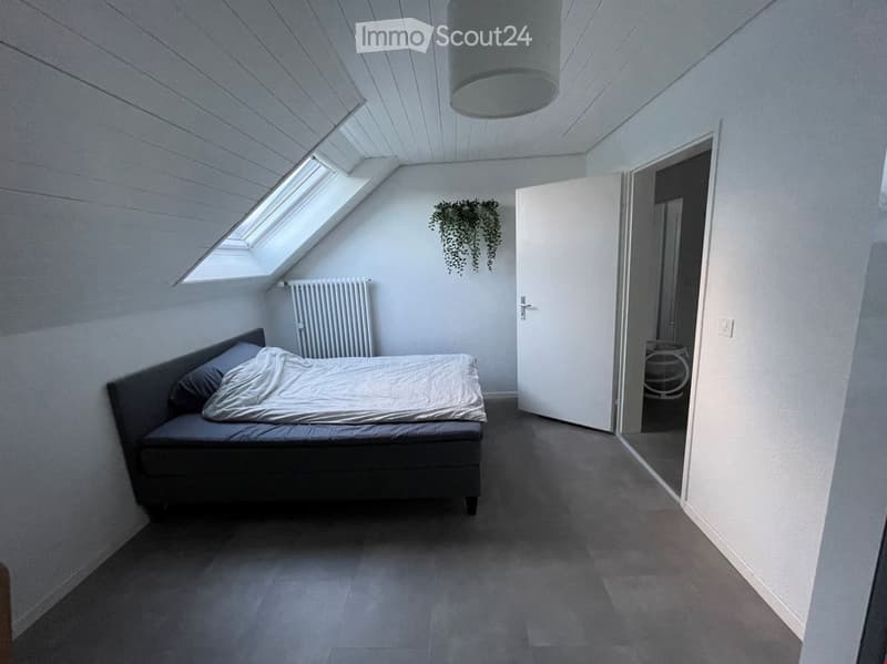 Modern bedroom with grey carpet, white walls, slanted ceiling, skylight window, bed with grey bedding, radiator, pendant light, and a mirror in the adjacent room.