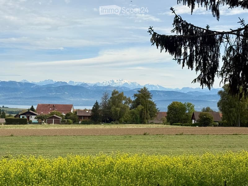 Rural landscape with a field of yellow flowers, several houses, trees, and distant mountains under a partly cloudy sky.