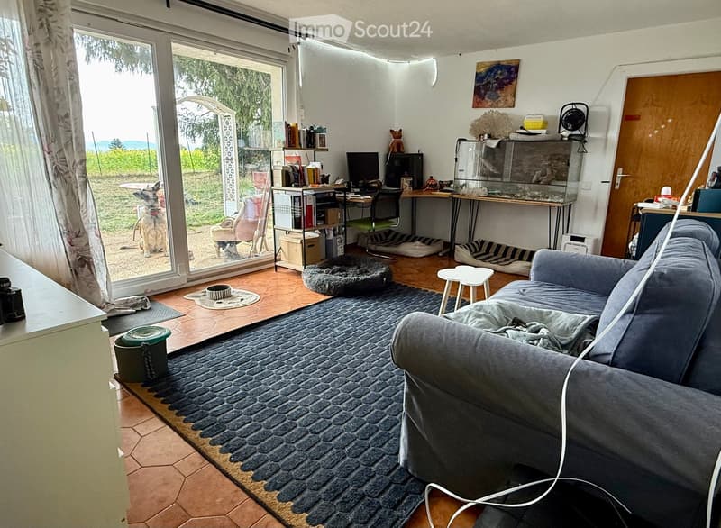 A cozy living room with a grey sofa, a small white stool, a fish tank, a desk with a computer, and a dog bed. The room features large windows with a view of the garden and a dog sitting outside.