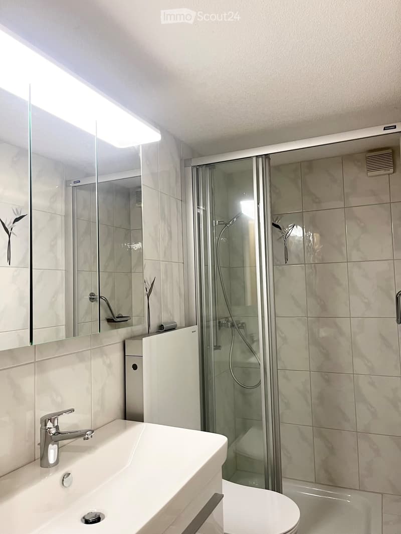 modern bathroom, white tiled walls, white toilet, large mirror, shower area, faucet, sink, glass door, white toilet