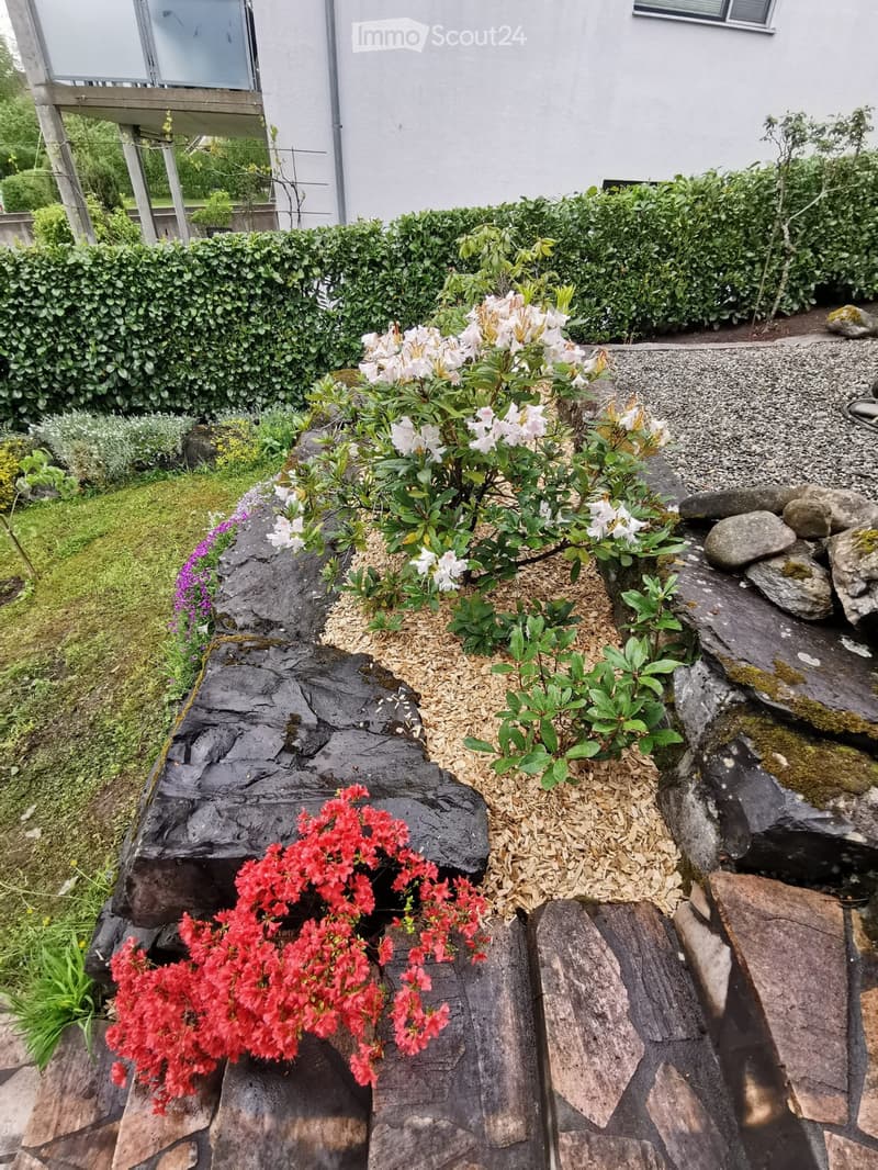 Garden area with a variety of plants, including red and white flowering shrubs, surrounded by rocks and mulch, with a neatly trimmed hedge and a white building in the background.
