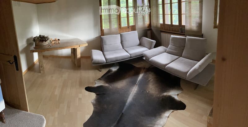 Bright living room with light wooden flooring, a grey sectional sofa, a coffee table with a plant, and a large cowhide rug.