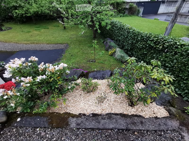 Well-maintained garden with a variety of flowering shrubs, neatly trimmed hedges, and a gravel pathway. The garden features a mix of evergreen and deciduous plants, with a small pond visible in the background.