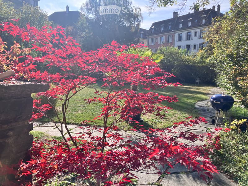 Well-maintained garden with red maple tree, stone pathway, barbecue, and lush greenery.