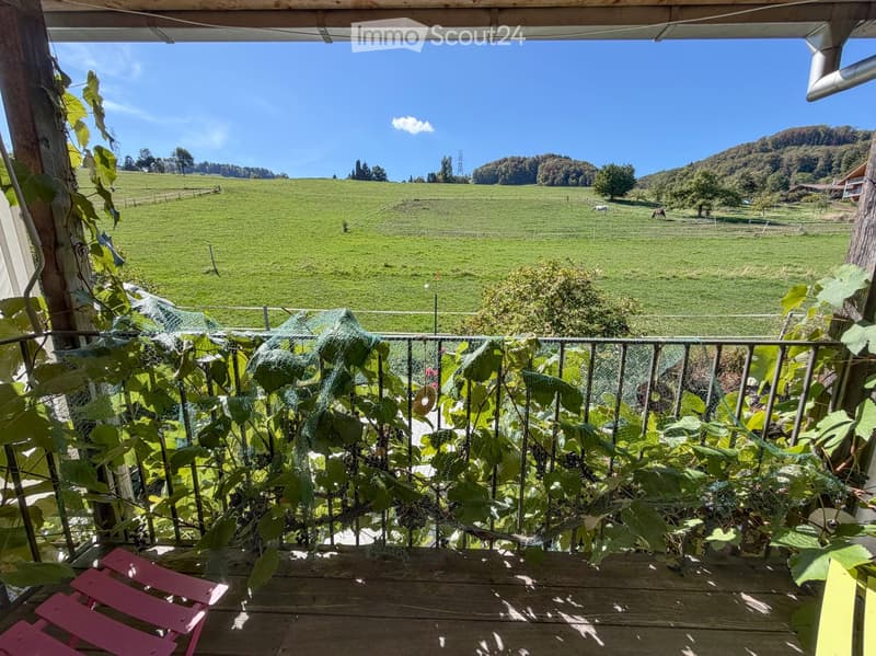 Balcony with wooden decking, metal railing, and grapevines, overlooking a green field and hills under a clear blue sky.