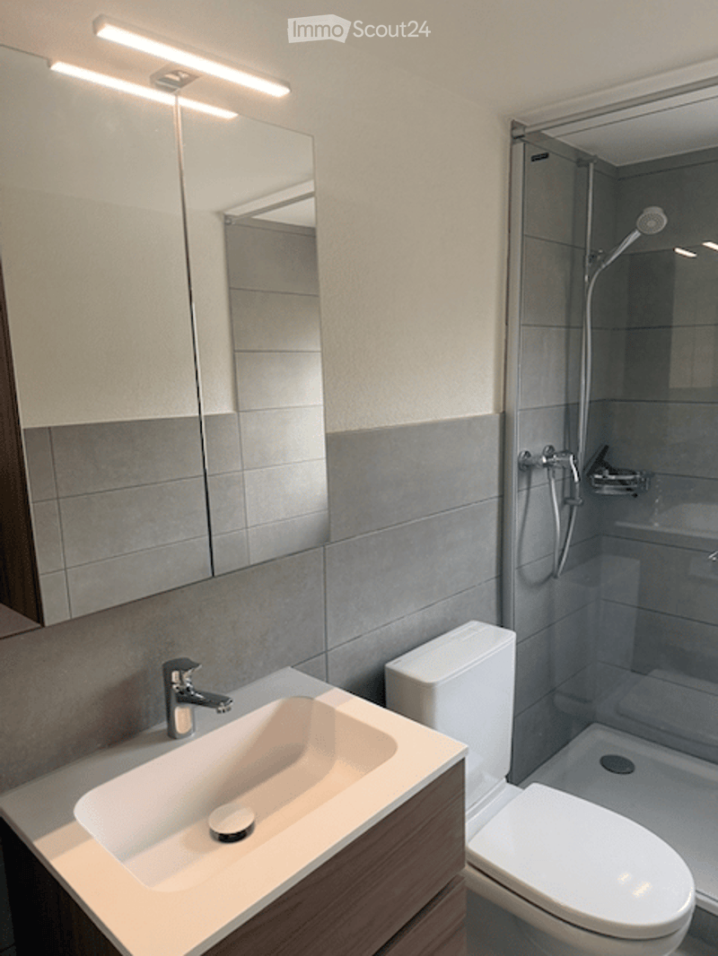 Modern bathroom with a white sink, chrome faucet, large mirror, toilet, and a glass-enclosed shower with a modern showerhead.