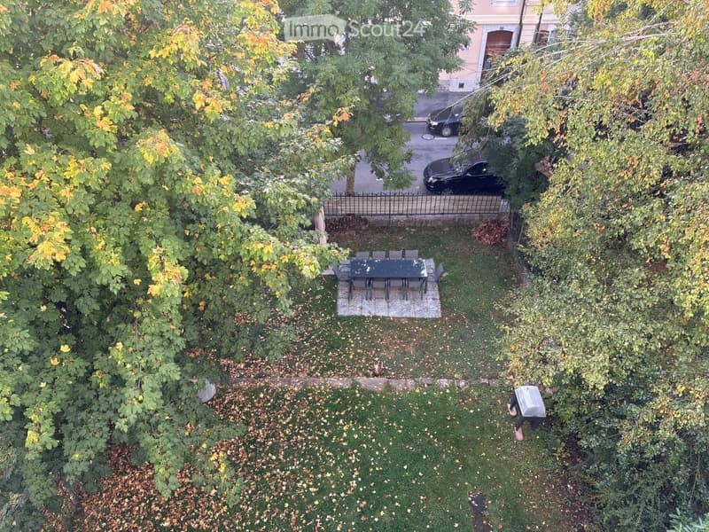 A small outdoor garden area with a table and chairs, surrounded by trees and greenery, with a paved area and a fence in the background.