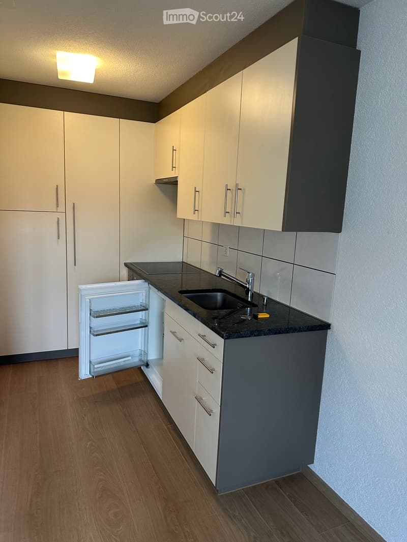 Modern kitchen with light-colored cabinets, a dark countertop, a sink with a faucet, and an open refrigerator.