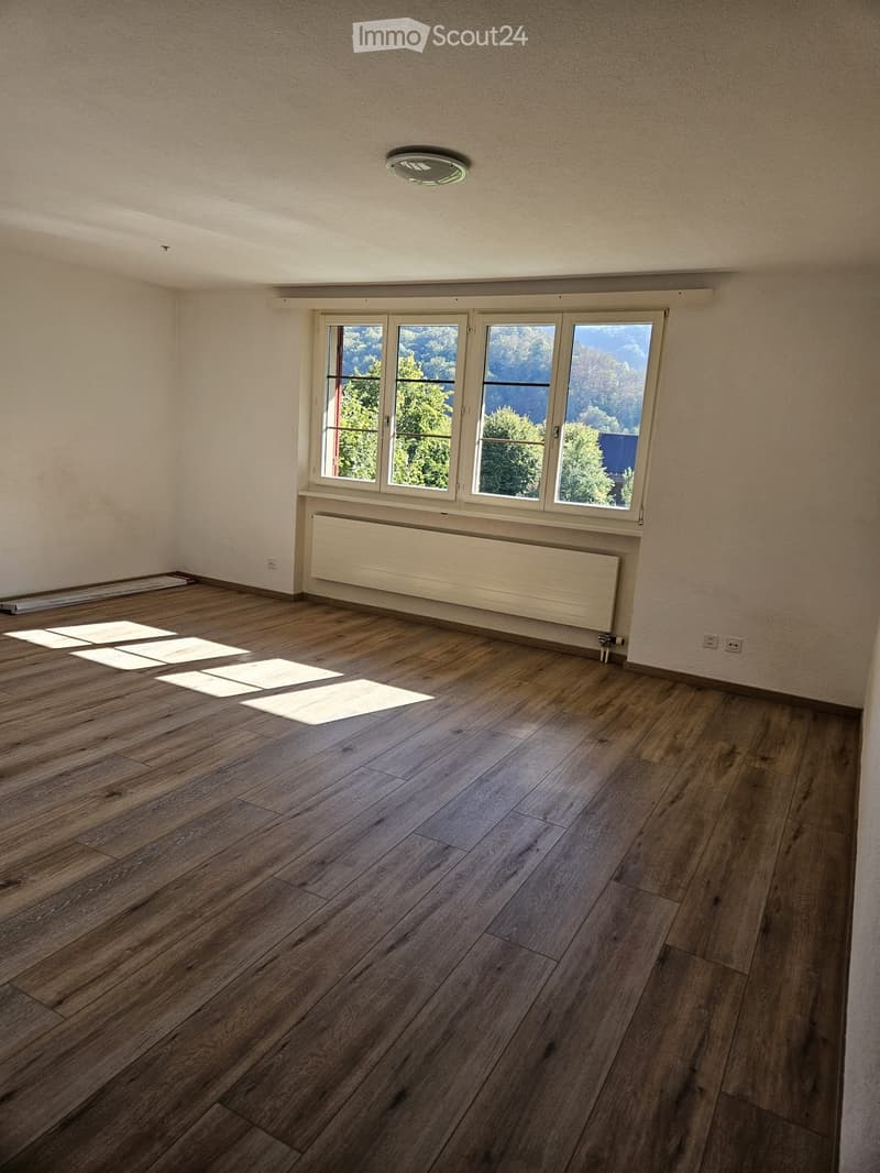 Empty room with wooden flooring, large windows showing a scenic view, and a radiator under the windows.