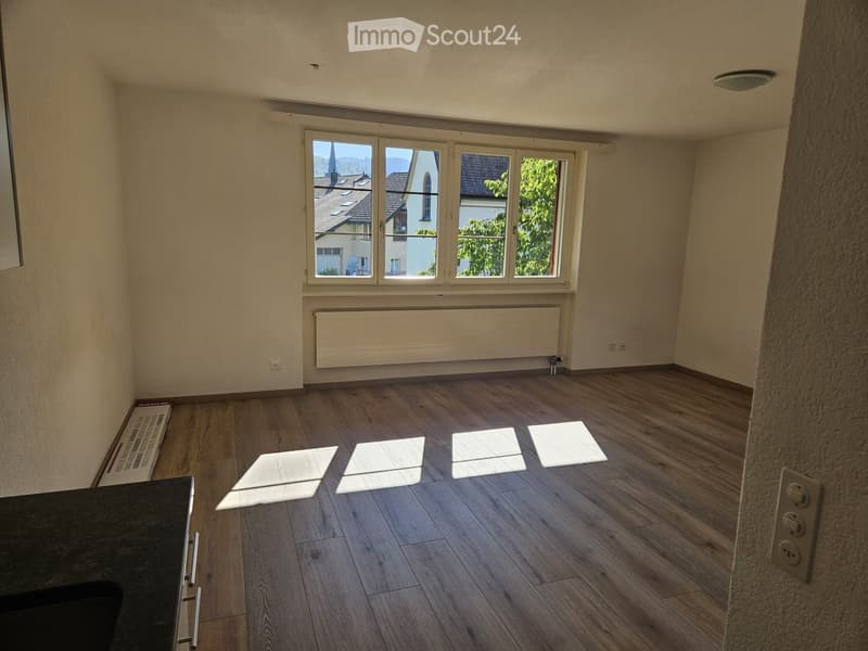 Empty room with wooden flooring, large windows, radiator, and light fixture on the ceiling.