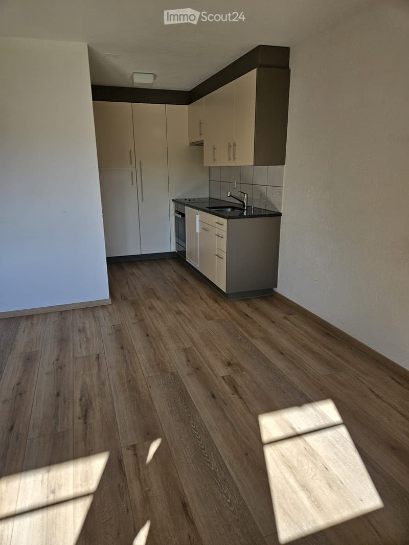 Modern kitchen with light-colored cabinets, a sink, and an oven, featuring wooden flooring and neutral-colored walls.