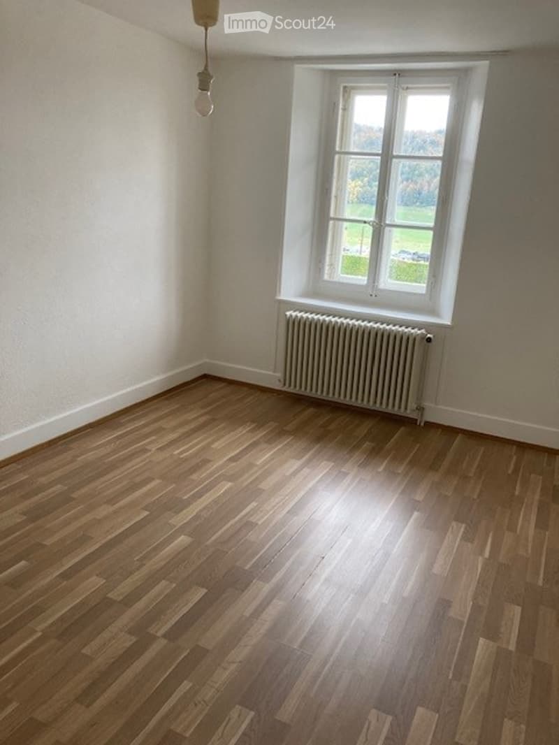 Empty room with wooden flooring, white walls, a single window with white frame, radiator below the window, and a hanging light fixture.