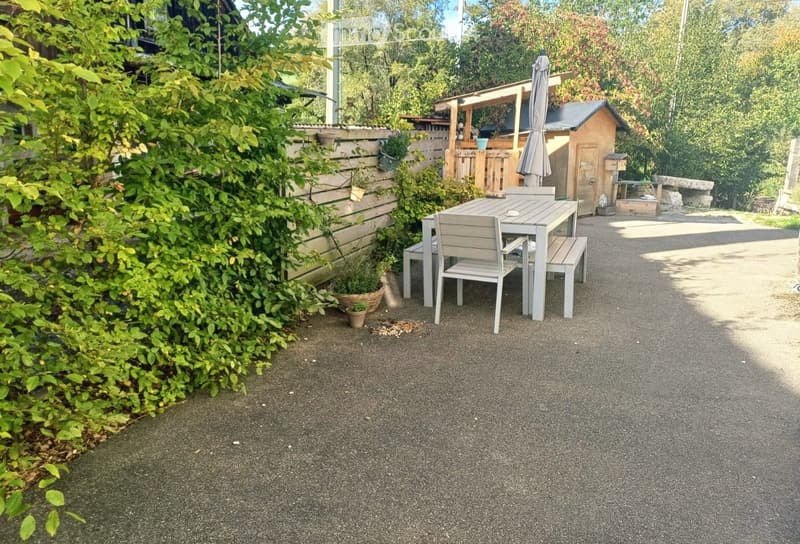 Outdoor patio area with a table and chairs, surrounded by greenery and a wooden shed.