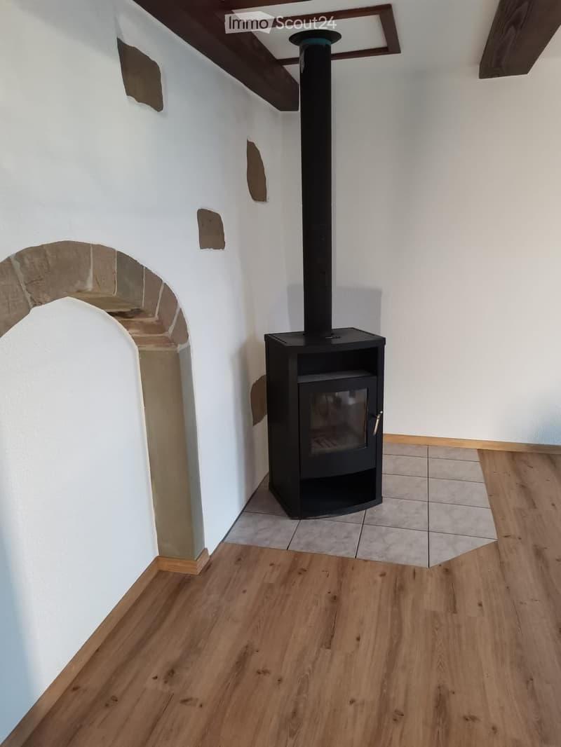 Cheminee-Ofen Wohnzimmer