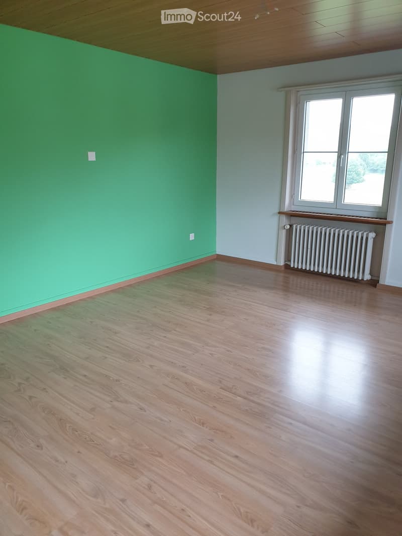 Empty room with wooden flooring, green wall, white wall, window with radiator, and wooden shelf.