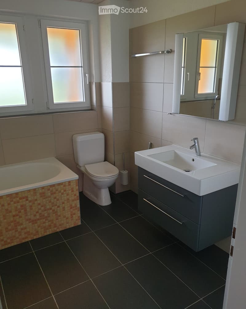 Modern bathroom with a bathtub, toilet, sink, and large mirror. The sink has a modern faucet and is placed on a dark grey cabinet. The bathtub has a colorful tile border, and the floor is covered with dark tiles.