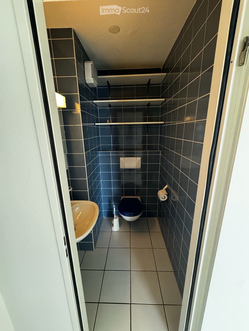 Lumineux appartement de 5.5 pièces avec vue imprenable à Ecublens (VD) (8)