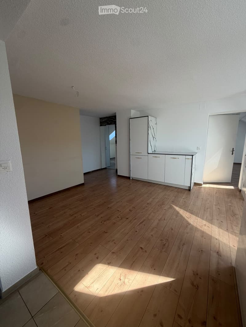 Empty room with light wooden flooring, white walls, and a small white cabinet with mirrored doors in the corner.