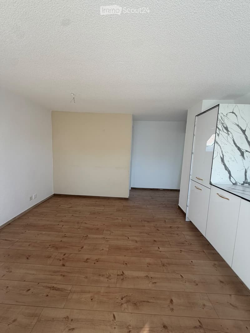 Empty room with wooden flooring, white walls, and a small white cabinet with a mirror on the right side.