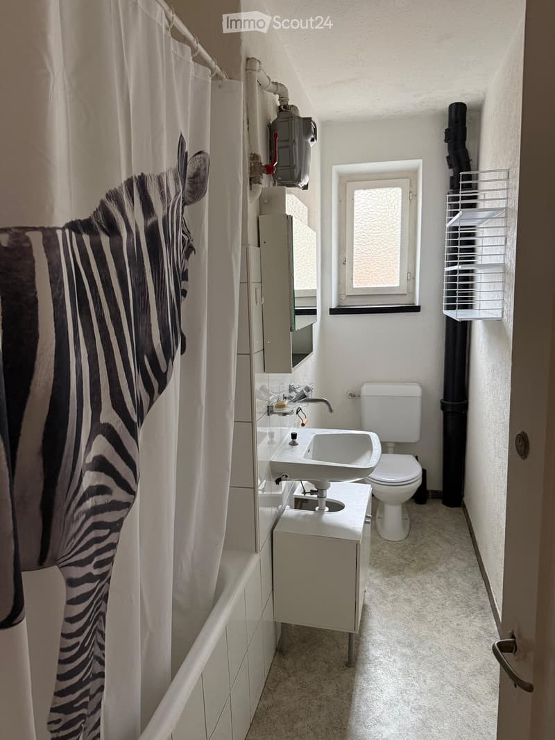 Modern bathroom with a bathtub, sink, toilet, and mirror. Features a zebra-patterned shower curtain and a window with frosted glass.