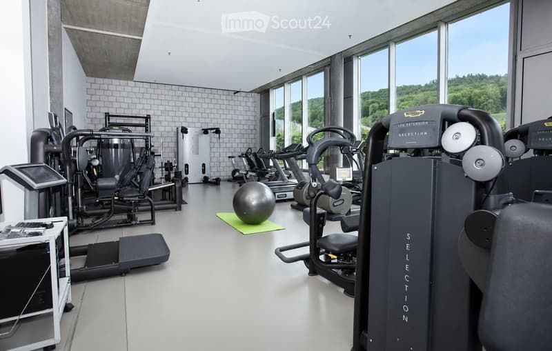 Modern fitness room with various exercise machines, a large window with a scenic view, a large exercise ball, and a small table with a screen and keyboard.