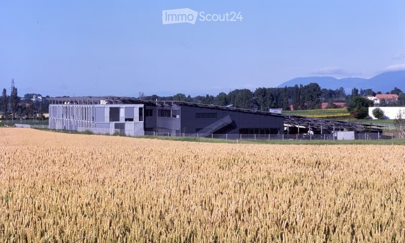 Modern industrial-style building with a large flat roof, surrounded by a field of golden crops and distant mountains.