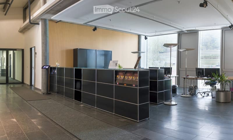 Modern reception area with a sleek black reception desk, multiple screens, chairs, a small table with a plant, and floor lamps.