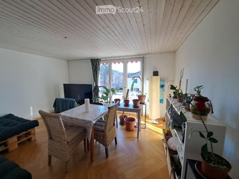 Bright room with wooden floor, large window with view, dining table with chairs, screen, shelves with plants.