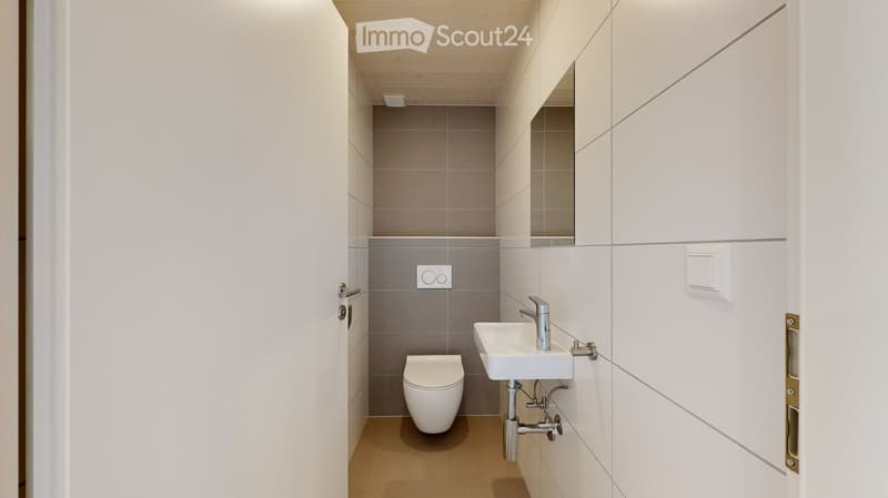Modern bathroom with white walls, grey tiles, a toilet, a sink with a chrome faucet, and a mirror above the sink.