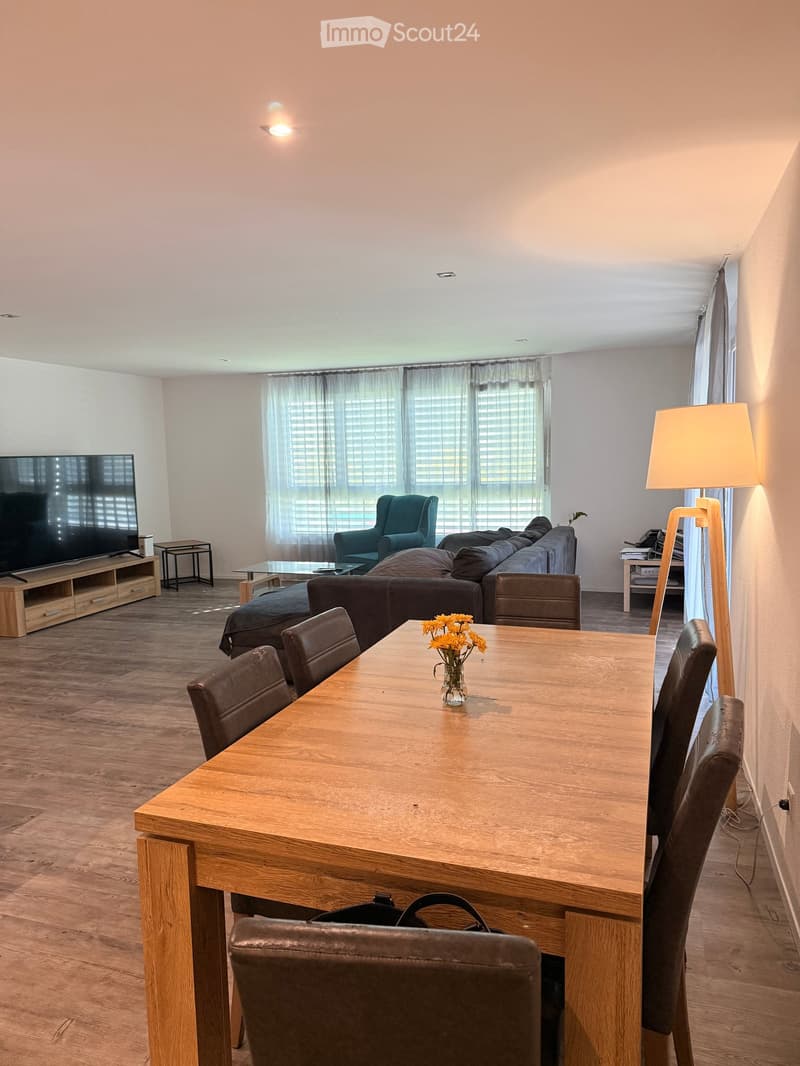 Modern living and dining area with a sofa, armchair, coffee table, dining table with chairs, television, and floor lamp.