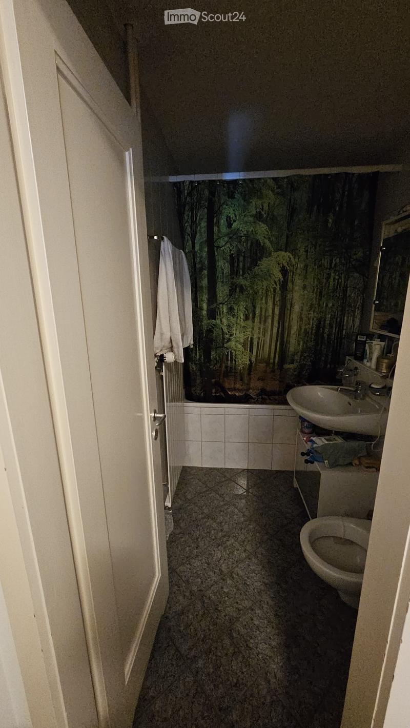 Bathroom with a sink, toilet, bathtub, and a mirror. The bathtub has a nature-themed backsplash.