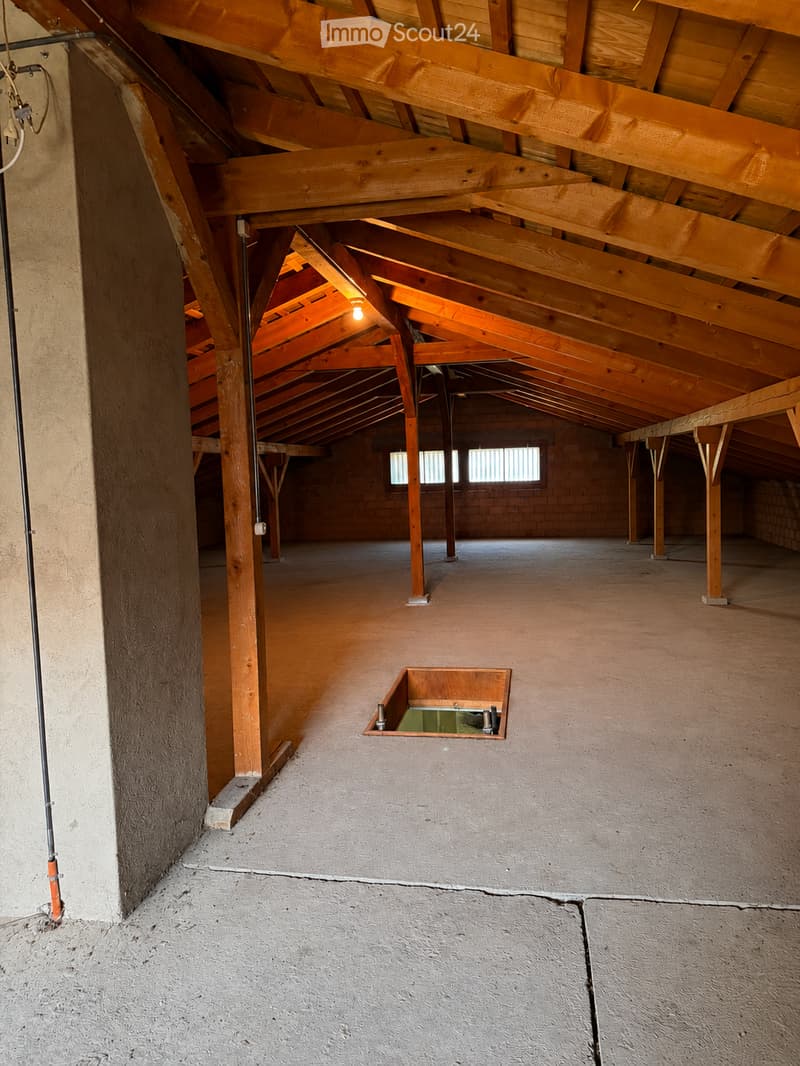 Empty attic space with exposed wooden beams and concrete walls, featuring small windows and a skylight opening.