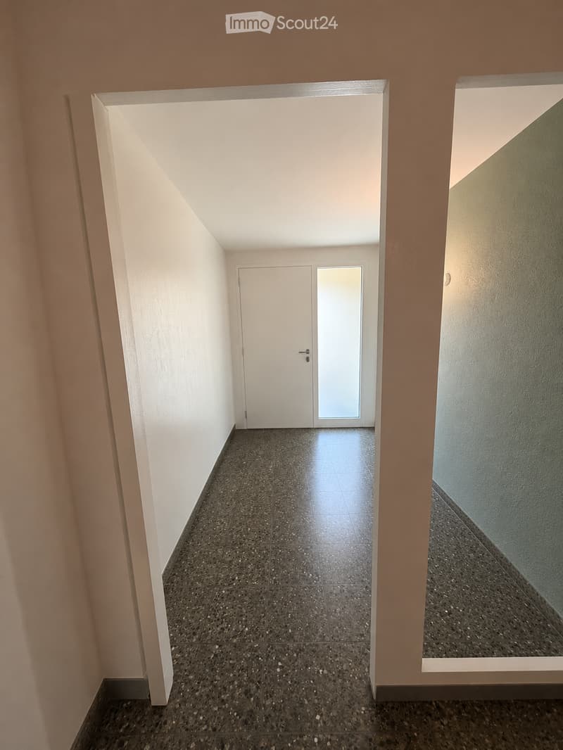 Empty hallway with white walls, dark tiled floor, and a white door at the end.