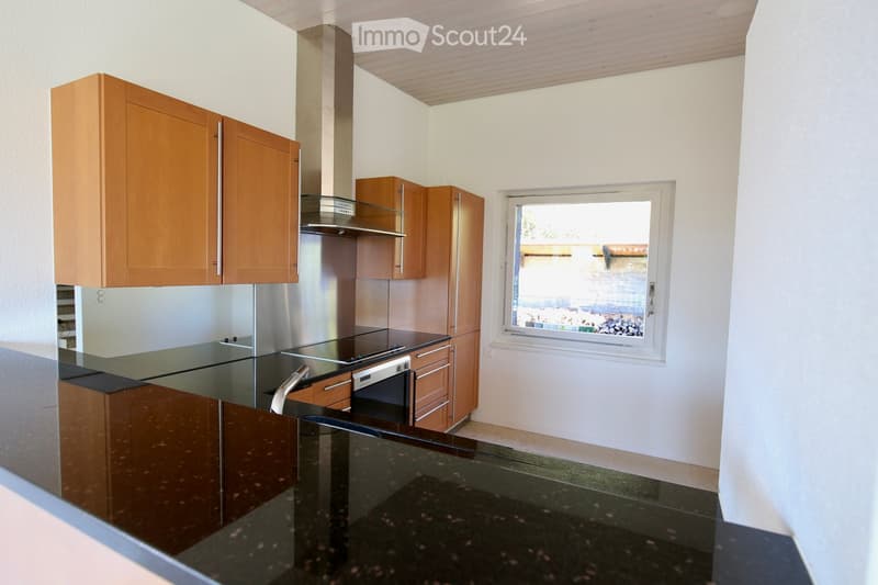Modern kitchen with wooden cabinets, stainless steel appliances, and a black granite countertop.