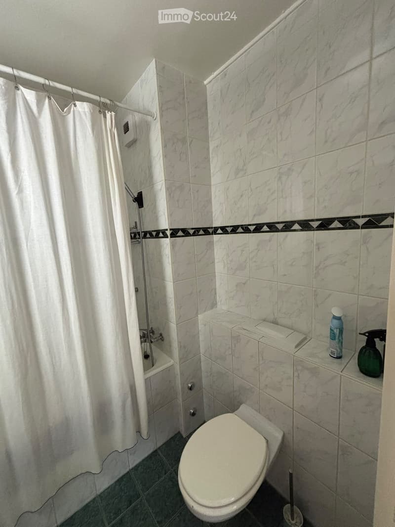 Bathroom with marble tiles, toilet, shower area with curtain, and small shelf holding toiletries.