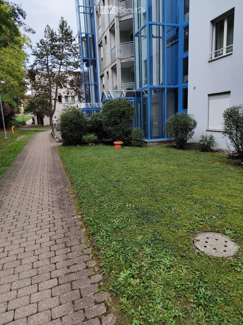 Garden area with a paved walkway, green grass, bushes, and a modern building with blue accents in the background.