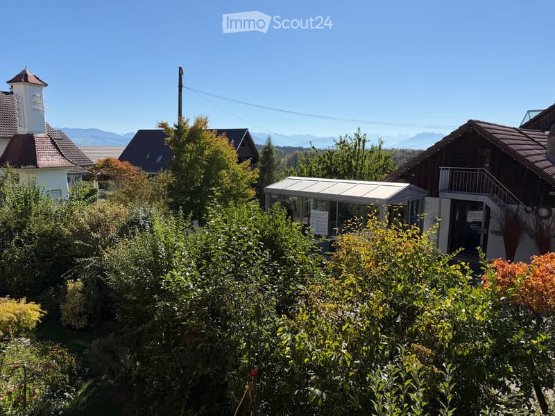 A well-maintained garden with various shrubs and trees, featuring a small modern structure with a flat roof and glass walls, surrounded by residential houses and a scenic mountain view in the background.