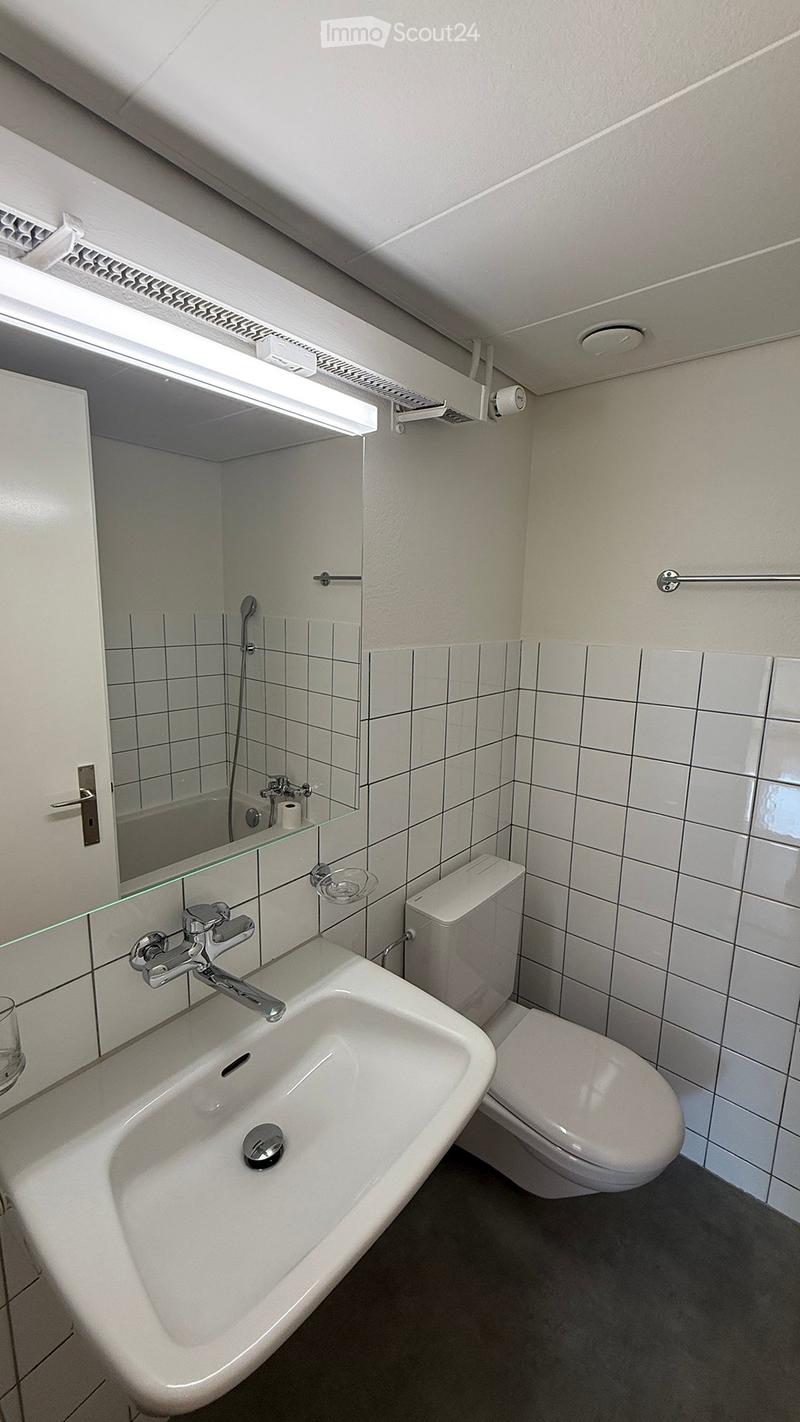 Modern bathroom with white tiled walls, a large sink with a chrome faucet, a toilet, a shower area with a glass door, and a mirror above the sink.