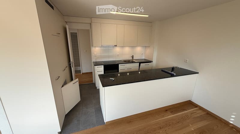 Modern kitchen with white cabinets, black countertop, and a sink area. The space features wooden flooring and a small open doorway leading to another room.