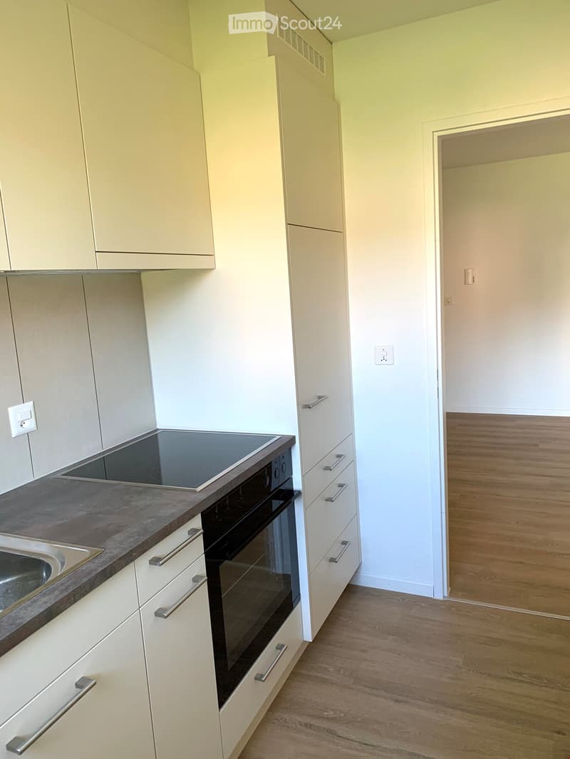 Modern kitchen with white cabinets, an induction cooktop, an oven, and a sink, featuring a wooden floor and neutral-colored walls.