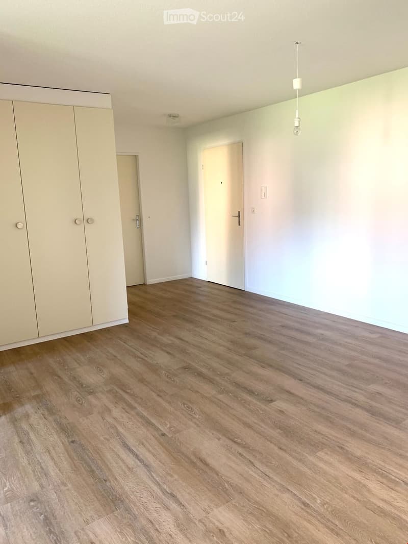 Empty room with light-colored walls, wooden flooring, and built-in closet on one side.