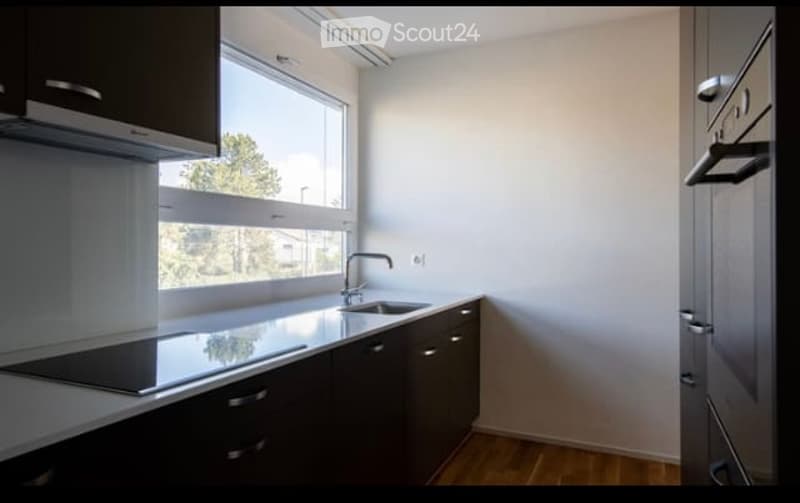 Modern kitchen with dark wooden cabinets, a stainless steel sink, and a built-in stove. The space features large windows with a view of greenery outside.